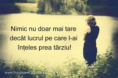 mesaje de dezamagire si minciuna|100 de citate puternice despre dezamăgire, regret și încredere。